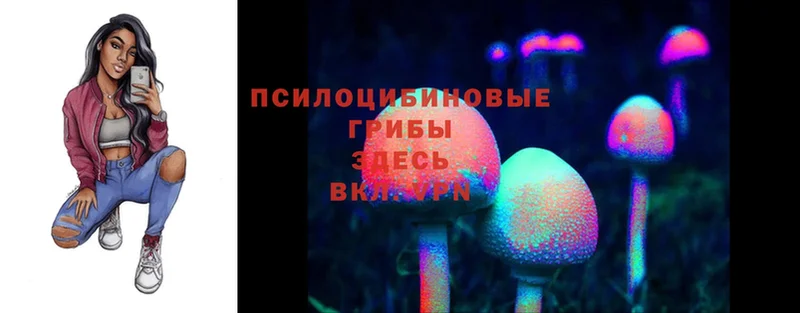 Псилоцибиновые грибы Cubensis  купить закладку  Гаврилов Посад 